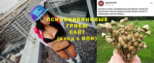 трава Медвежьегорск