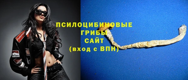 трава Медвежьегорск