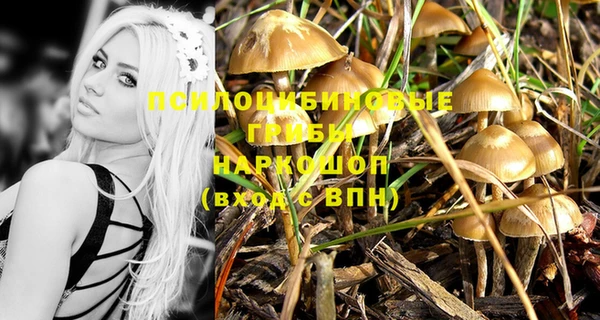 PSILOCYBIN Мегион