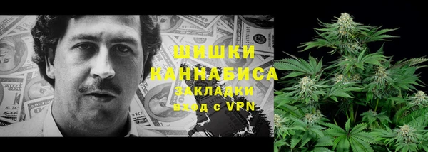 PSILOCYBIN Мегион